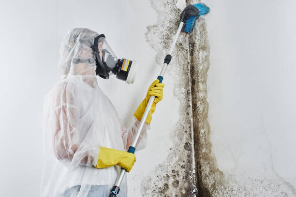 Best Emergency Mold Remediation in Aransas Pass, TX