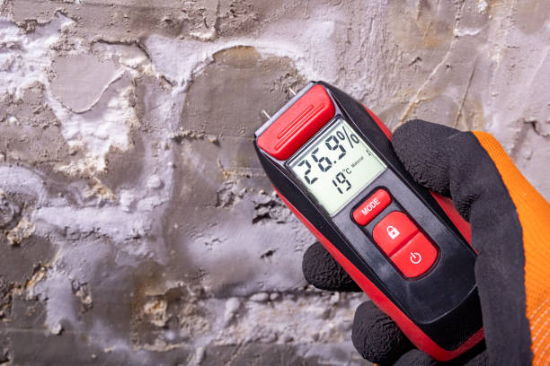 Best DIY Mold Remediation Support Services in Aransas Pass, TX